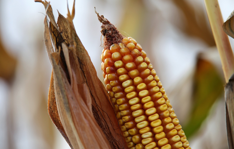 cabanga_group_images_2024_097