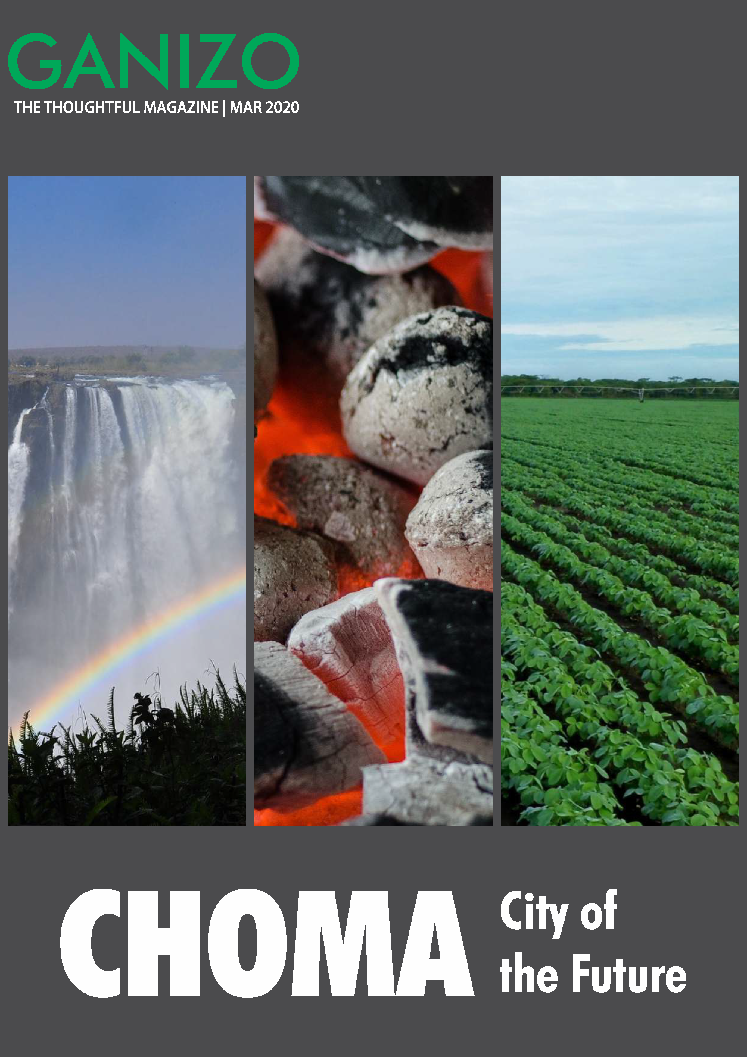 GanizoMagazineVol01Issue06March2020_Page_01