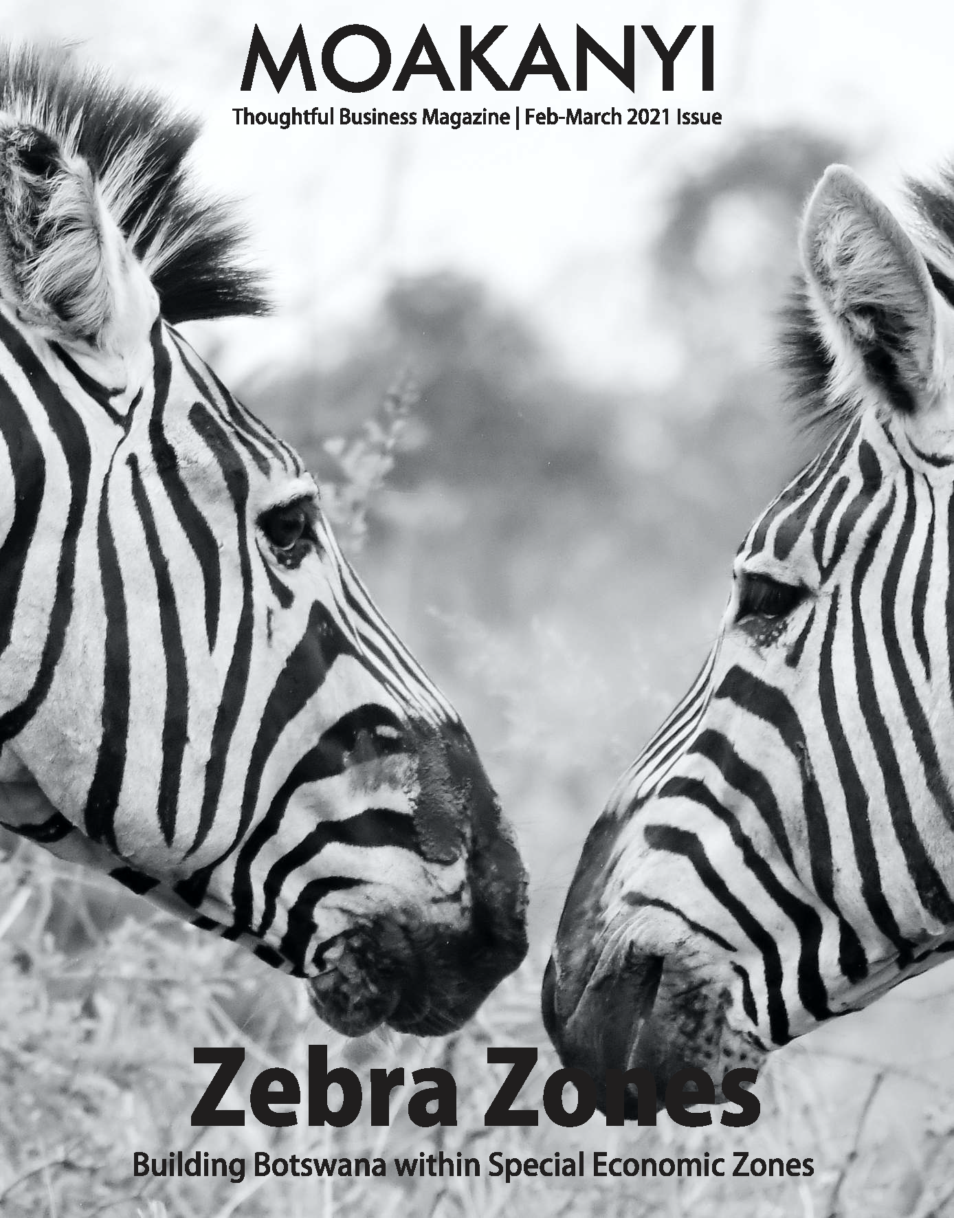 MoakanyiMagazineVol01Issue14Feb-March2021_Page_01